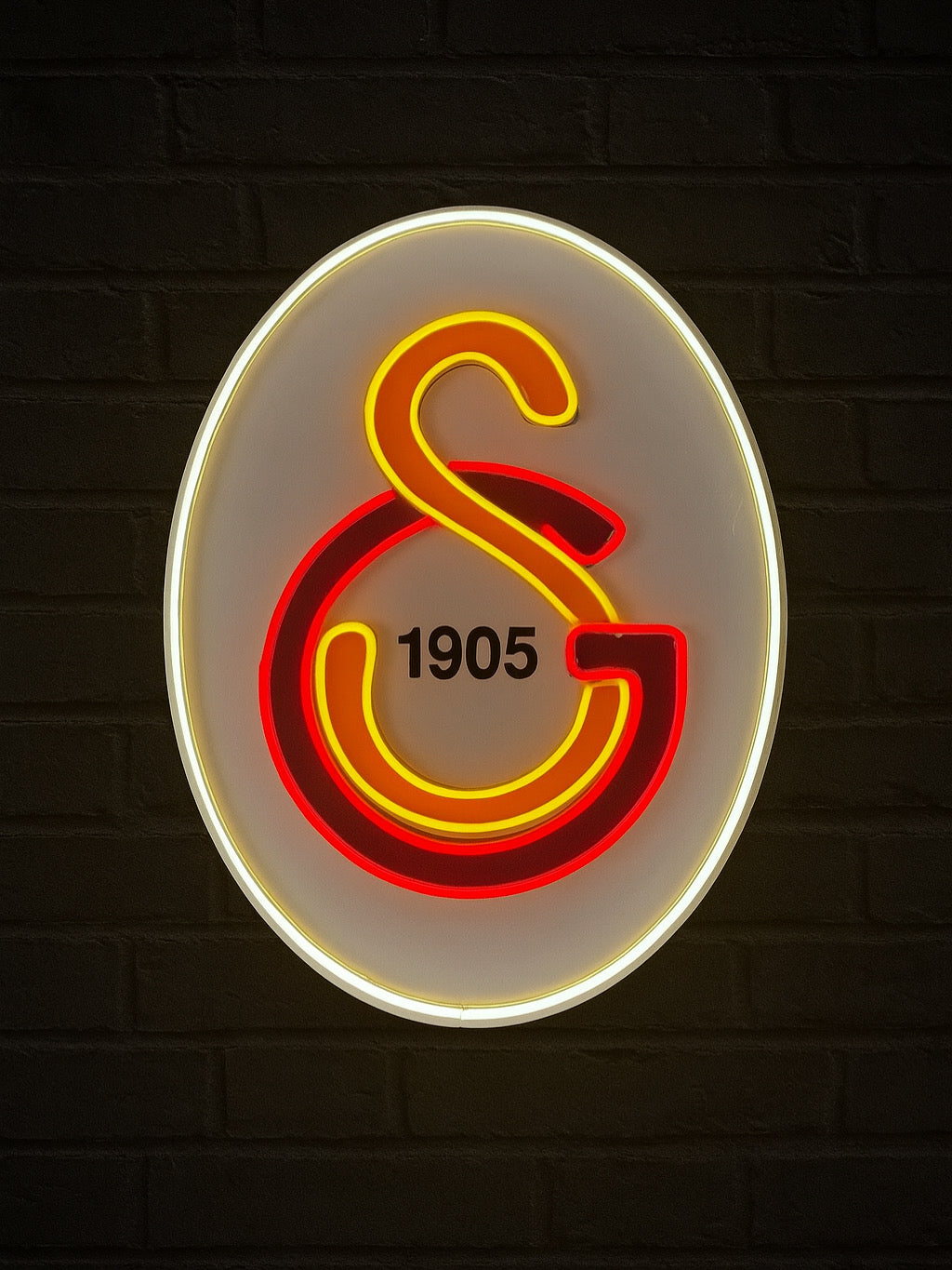 Takım Neon Logo Led Tabela
