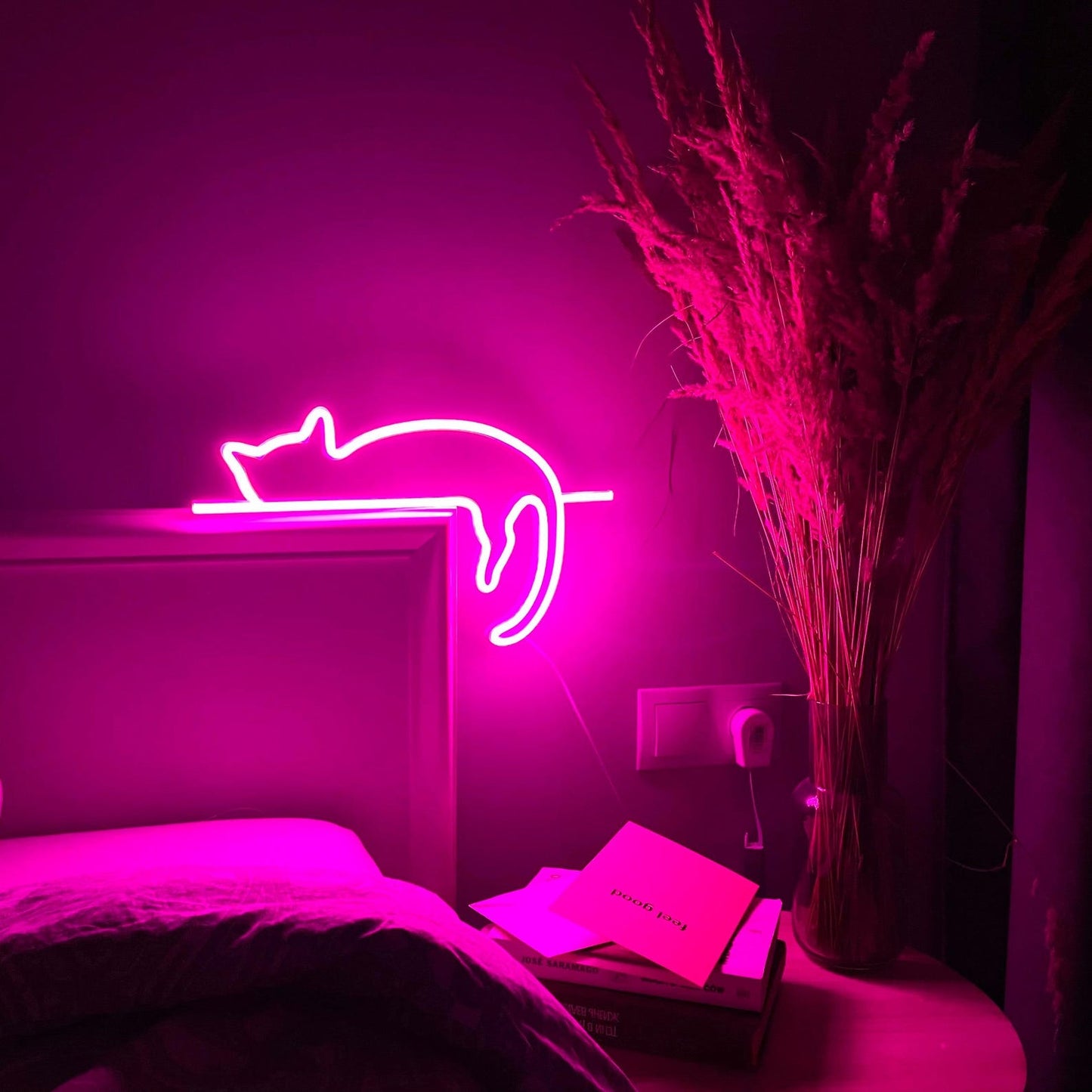 Uyuyan Kedi Neon Tabela